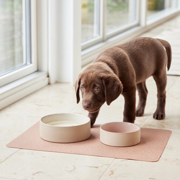Kerámia tálka kutyáknak ø 13 cm Sia – OYOY Living Design-image-1