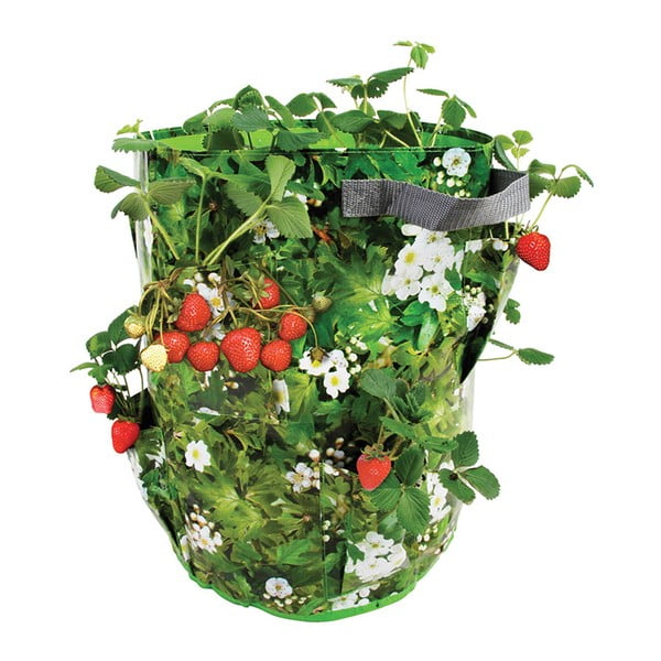 Berry tároló eper és fűszernövények ültetéséhez - Esschert Design