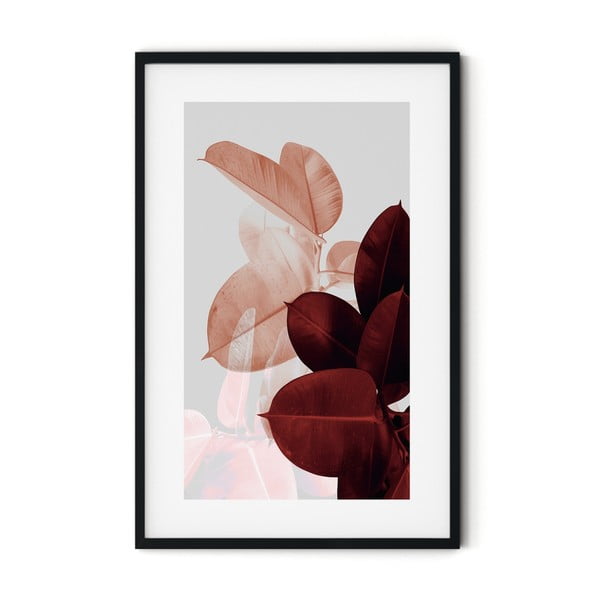Ficus Ruby poszter keretben, 46 x 72 cm - Insigne