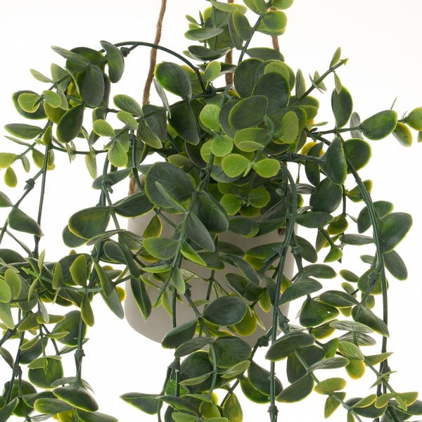 Művirág Fern – Casa Selección-image-2