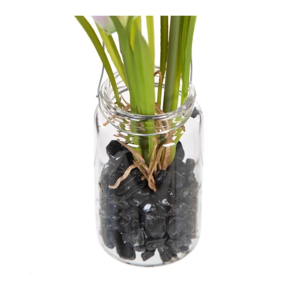 Művirág (magasság 18 cm) Tulip – Ixia-image-3