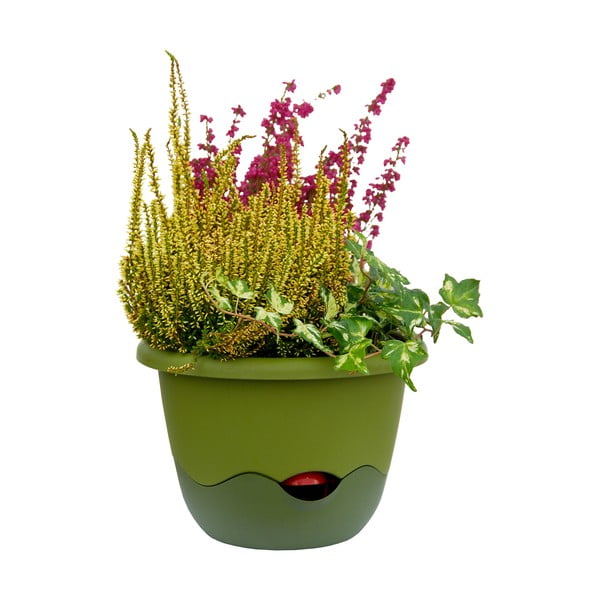 Mareta zöld felfüggeszthető önöntöző kaspó, hosszúság 25 cm - Plastia-image-2