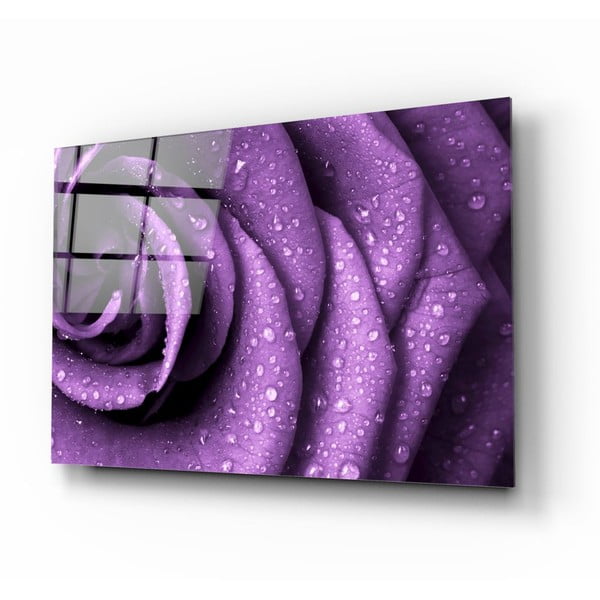 Purple Rose üvegezett kép - Insigne