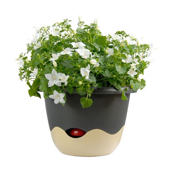 Mareta kék-fehér felfüggeszthető önöntöző kaspó, hosszúság 30 cm - Plastia-image-3