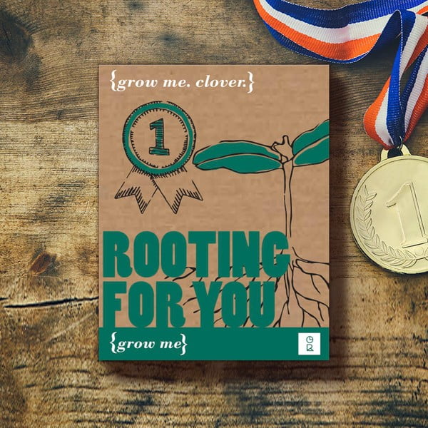 Rooting For You növénytermesztő készlet szegfűszeg magokkal - Gift Republic
