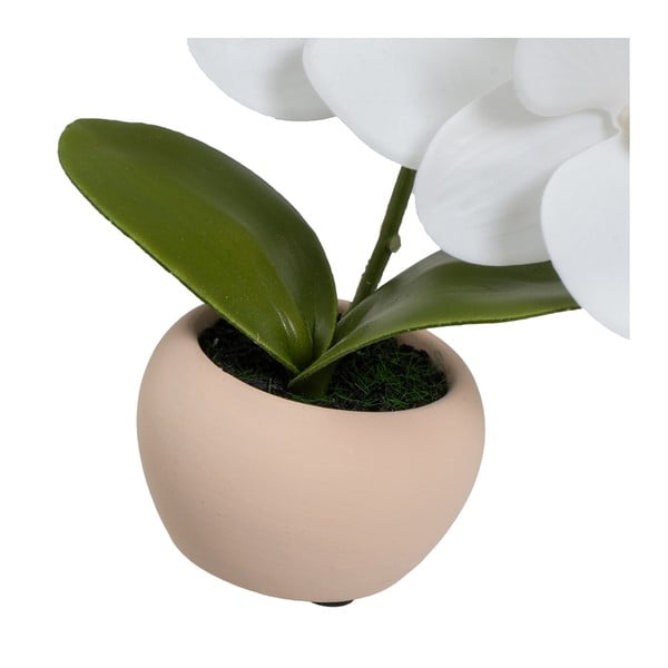 Műnövény szett 3 db-os (magasság 15 cm) Orchid – Casa Selección-image-4