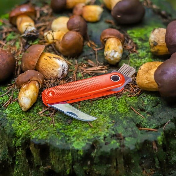 Zsebkés Move – Tescoma-image-1