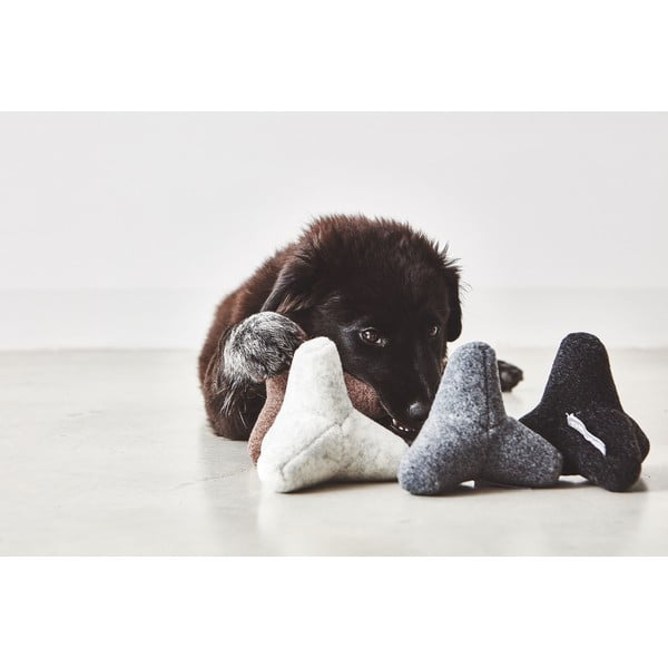 Kutyajáték Quattro Dusty Green S/M – MiaCara-image-2