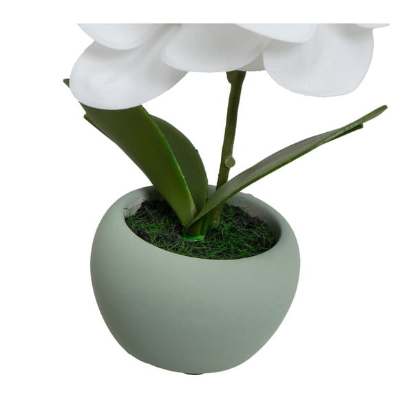 Műnövény szett 3 db-os (magasság 15 cm) Orchid – Casa Selección-image-3