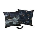 Gyerek párna 40x40 cm Harry Potter "Hogwarts" – Jerry Fabrics