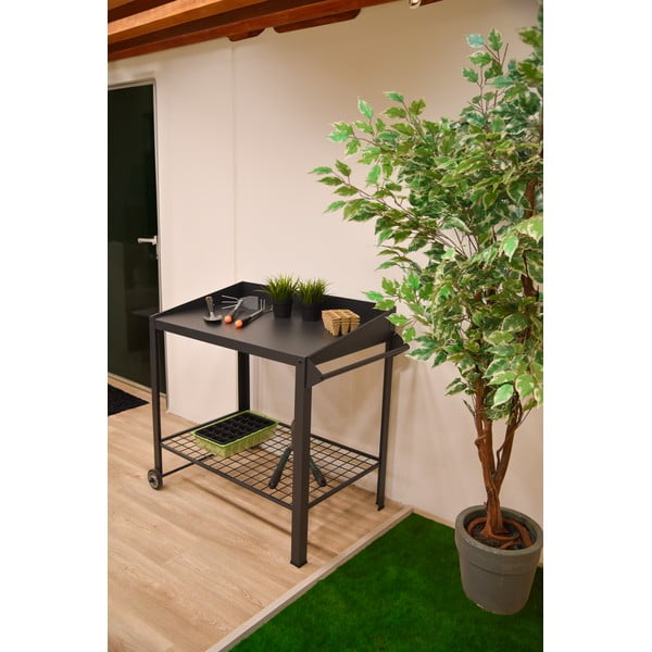 Magaságyás Diana – Garden Pleasure-image-1