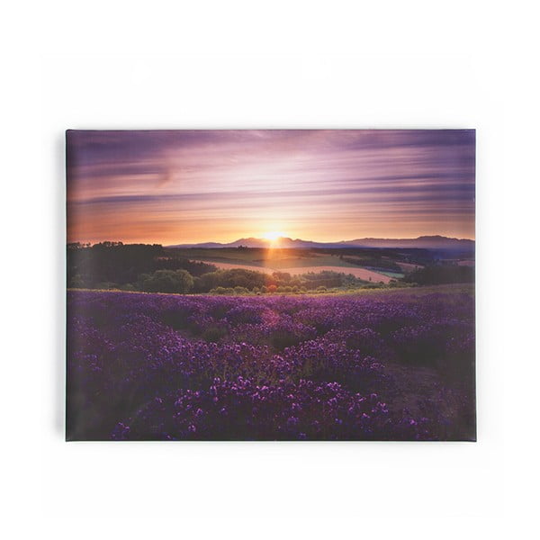 Lavendar Sunset kép, 80 x 60 cm - Graham & Brown
