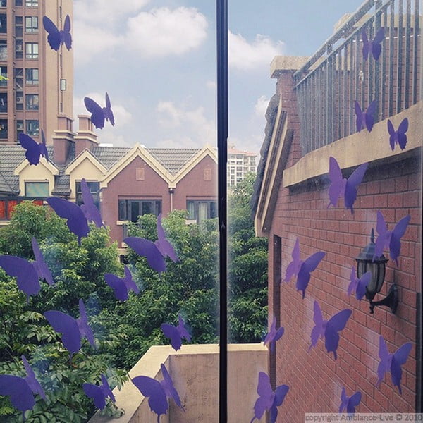 Butterflies 12 db-os lila falmatrica szett - Ambiance-image-4