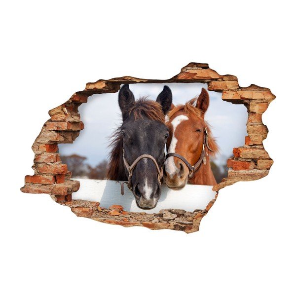Horses falmatrica - Ambiance-image-2