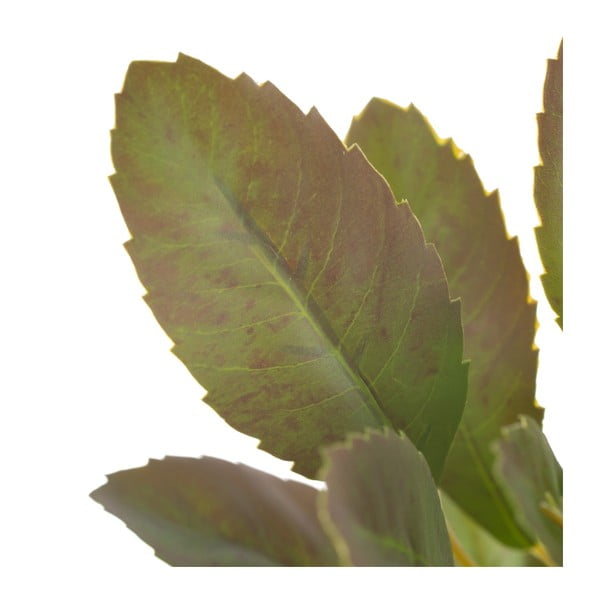 Mű ág (magasság 37 cm) Lemon Tree – Ixia-image-2