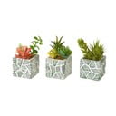 Műnövény szett 3 db-os (magasság 12 cm) Cactus – Casa Selección