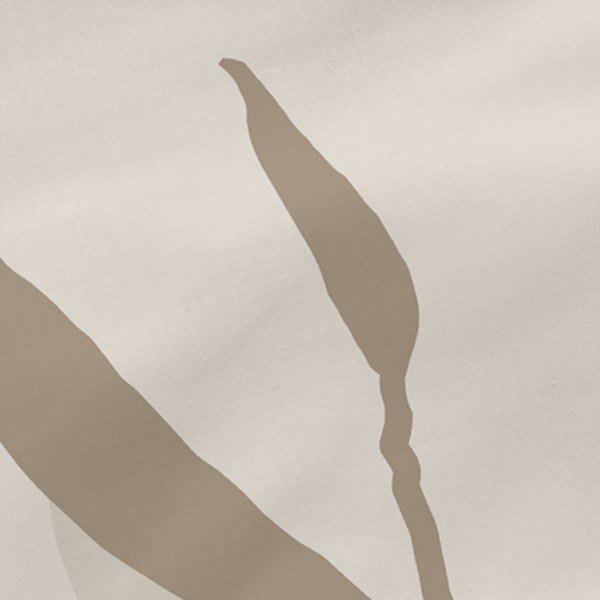 Pamut párnahuzat szett 2 db-os 50x75 cm Maple – Blanc-image-1