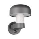 Fali kültéri lámpa (magasság 24,5 cm) Fraser – Trio