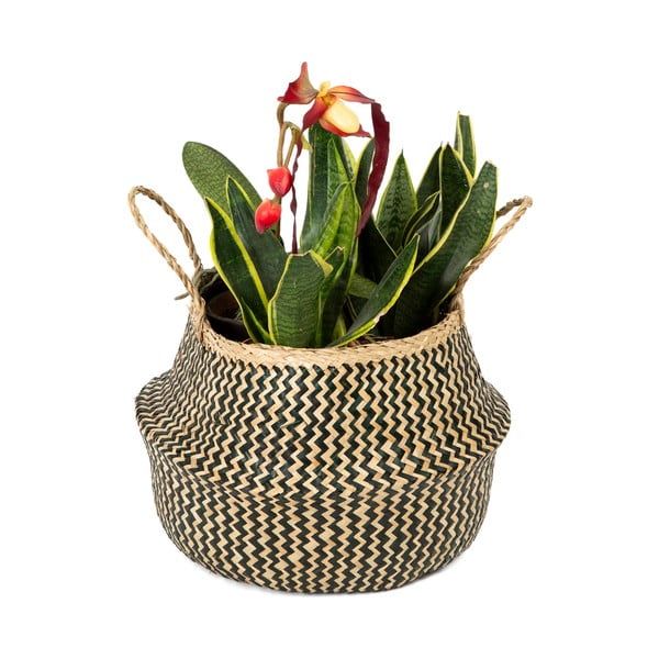 Zic Zac tengerifű tárolókosár, ⌀ 35 cm - Compactor-image-1