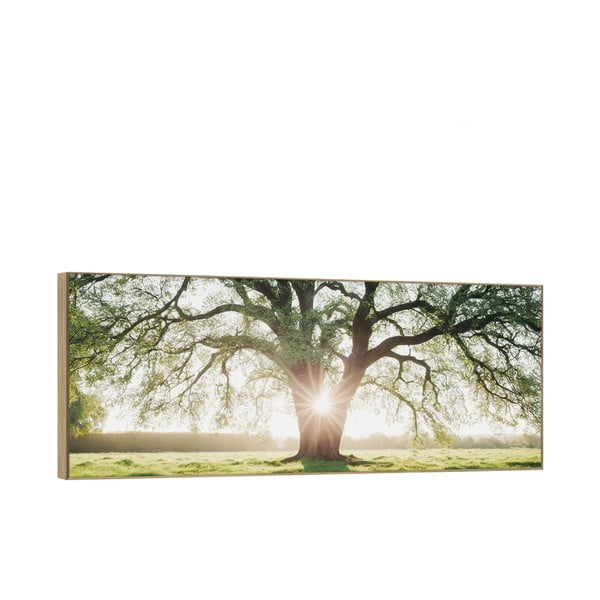 Kép 150x60 cm Tree in the Sun-image-2