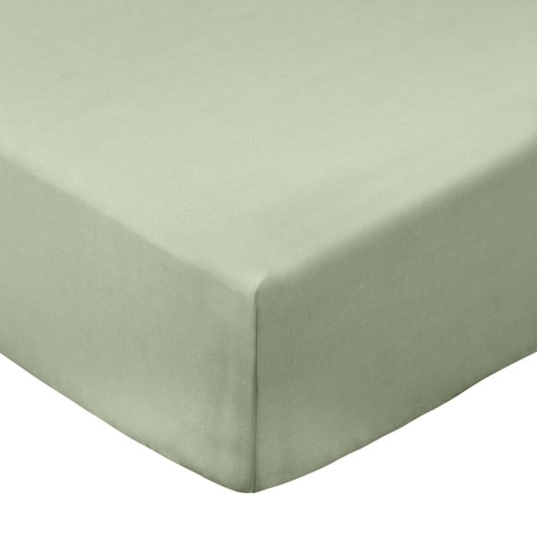 Zöld gumis pamut-perkál lepedő 150x200 cm Cotton Percale – Bianca