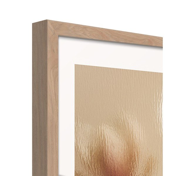 Nyomtatott keretezett kép 50x70 cm Soft Magnolia – Styler-image-4