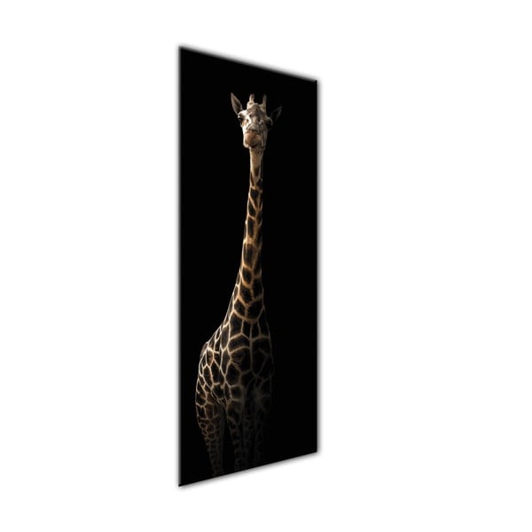 Glas Animals Gira kép, 50 x 125 cm - Styler-image-1