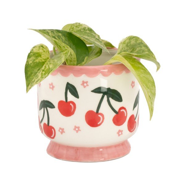 Kerámia kaspó ø 7,5 cm Fruit – Sass & Belle-image-1