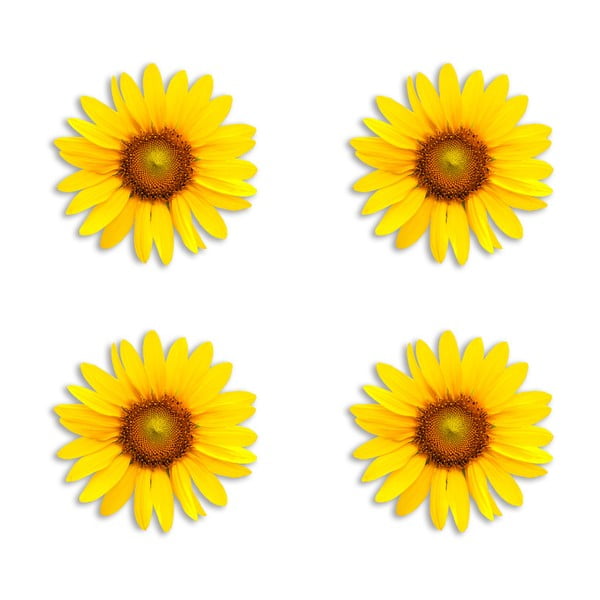 Sunflower juta mintás poháralátét, 4 db - Madre Selva