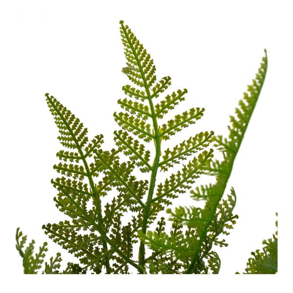 Haraszt műnövény (magasság 45 cm) – Casa Selección-image-2