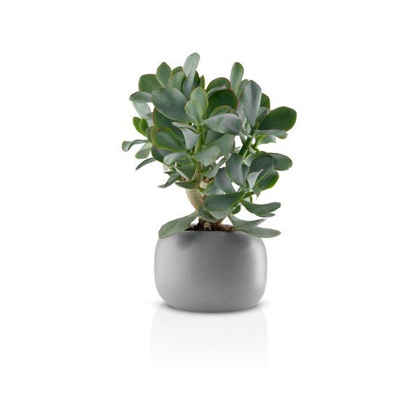 Stone szürke kerámia virágcserép, ø 16 cm - Eva Solo-image-2