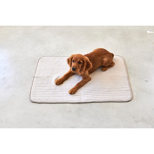 Bézs pamut takaró kutyáknak 90x120 cm Onda Greige L – MiaCara-image-1