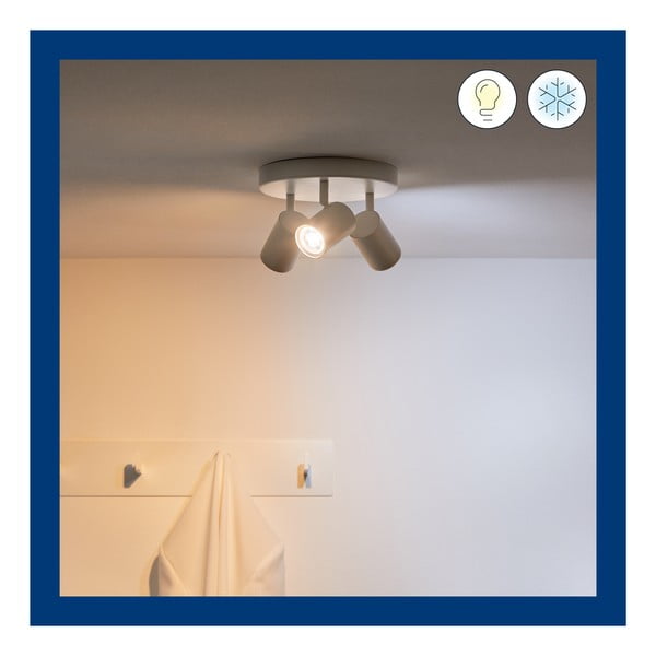 Okos spotlámpa GU10 5 W Imageo – WiZ-image-3