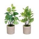 Műnövény szett 2 db-os (magasság 28 cm) – Casa Selección