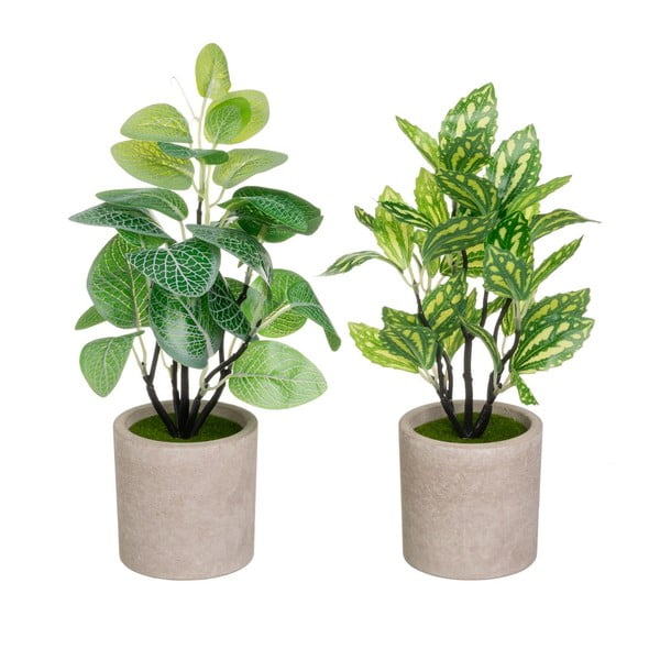 Műnövény szett 2 db-os (magasság 28 cm) – Casa Selección