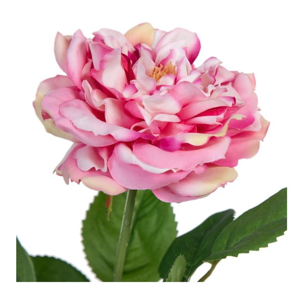 Művirág (magasság 43 cm) Rose – Ixia-image-1