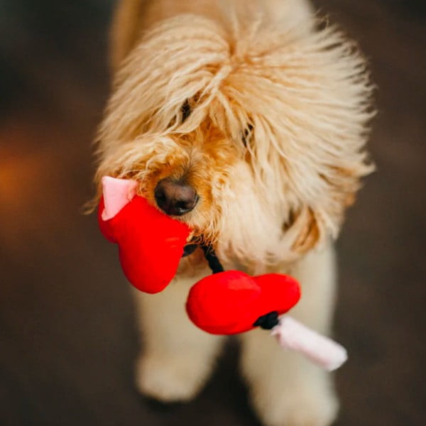 Játék kutyáknak Heart – P.L.A.Y.-image-1