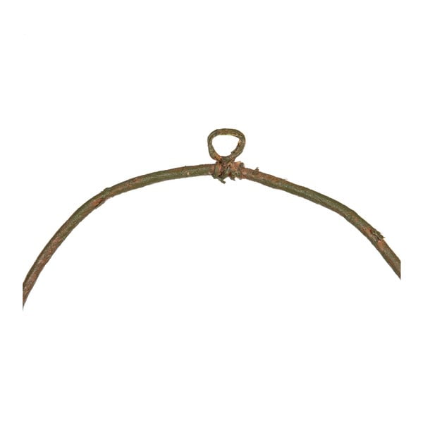 Koszorú Magnolia – Ixia-image-1