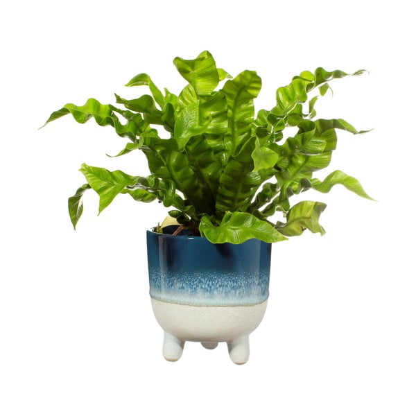 Bohemian Home Mojave kék virágcserép, ø 11,7 cm - Sass & Belle-image-2