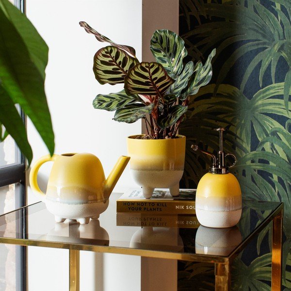 Bohemian Home Mojave sárga kaspó, ø 11,7 cm - Sass & Belle-image-1