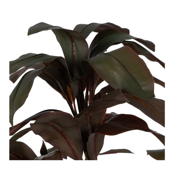 Műnövény (magasság 170 cm) – Ixia-image-1