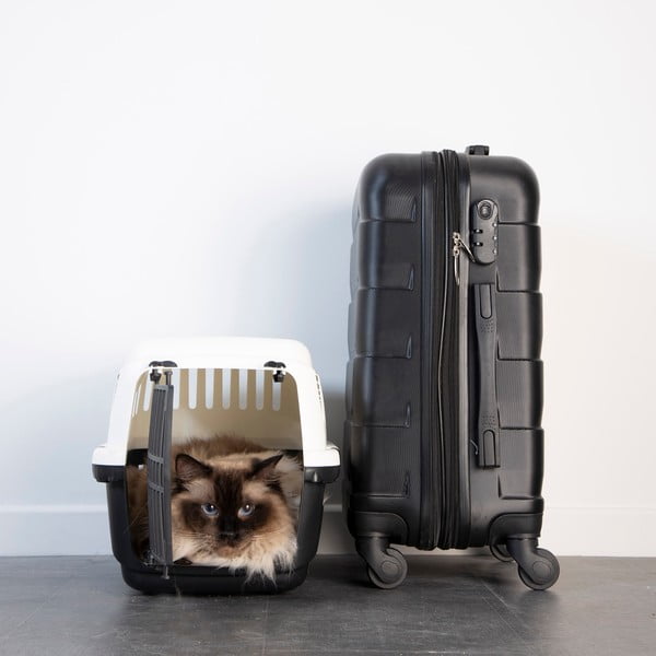 Állathordozó 31x46 cm – Love Story-image-1