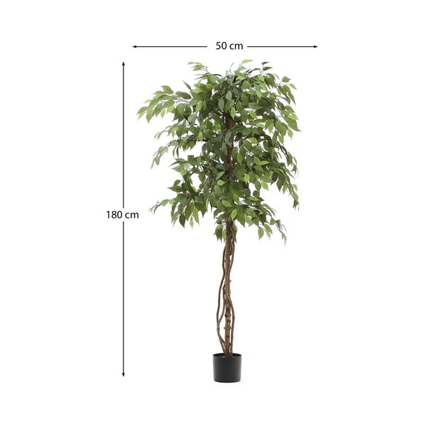 Fikusz műnövény (magasság 180 cm) Ficus – Kave Home-image-4
