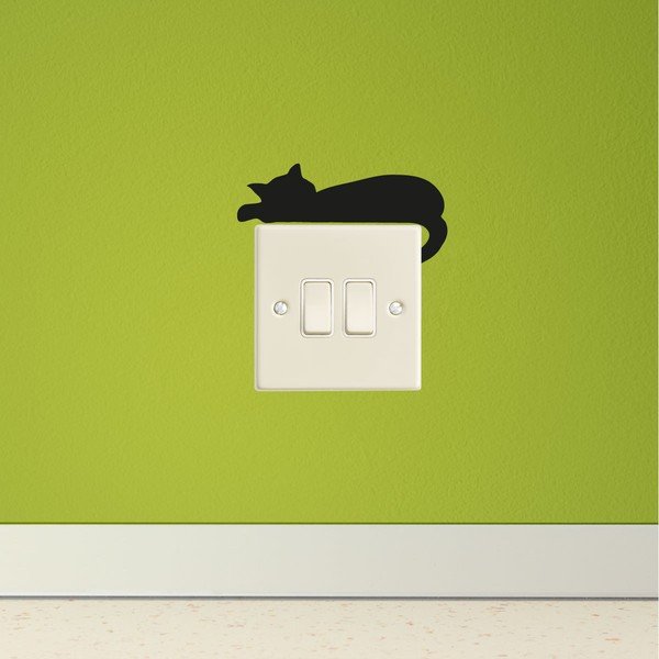Sleeping Cat Mini falmatrica - Ambiance-image-1