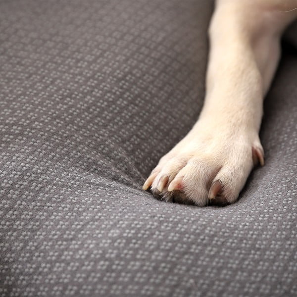 Világosszürke fekhely kutyáknak 60x48 cm Graphene – Love Story-image-3