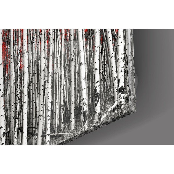 Birches üvegezett kép - Insigne-image-2