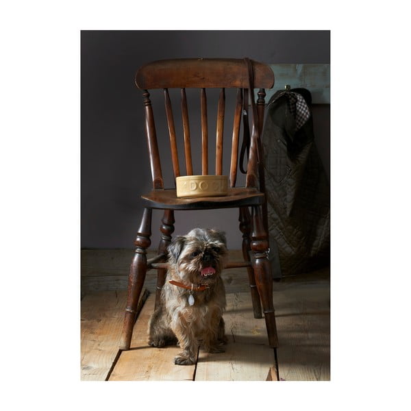 Pet Cane Dog agyagkerámia kutyatál, ø 25 cm - Mason Cash-image-3