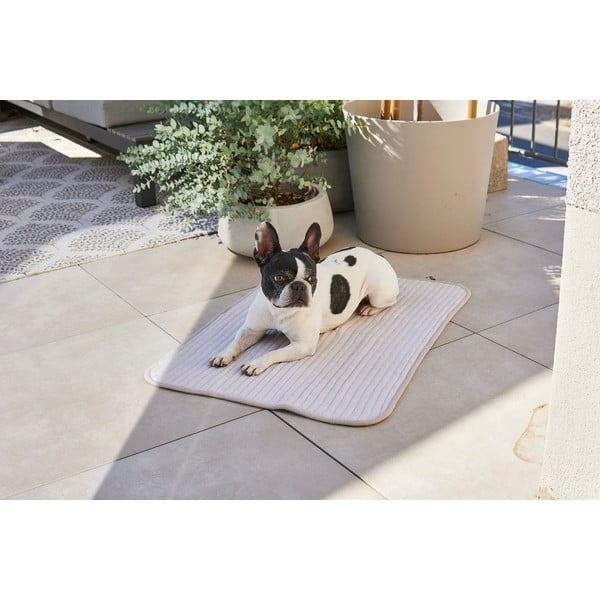 Szürke pamut takaró kutyáknak 90x120 cm Onda Pebble L – MiaCara-image-2