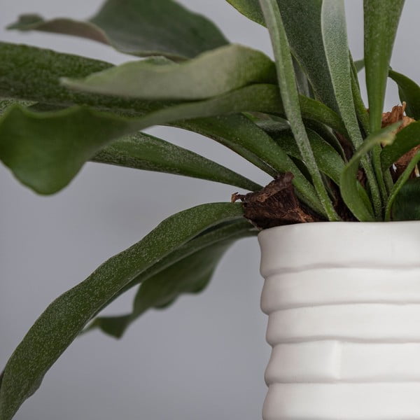 Fehér kézzel készített porcelán váza Ribbon – Mette Ditmer Denmark-image-4