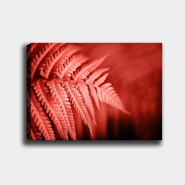 Palm vászonkép, 40 x 60 cm - Tablo Center
